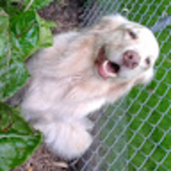 Meet your Posher, Stephanie - Picture 1 of 1